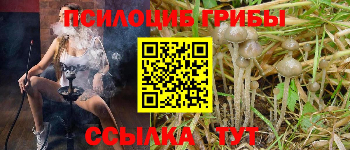 Псилоцибиновые грибы мухоморы  Галлюциногенные грибы ЛСД  Вход с VPN  Холмск 