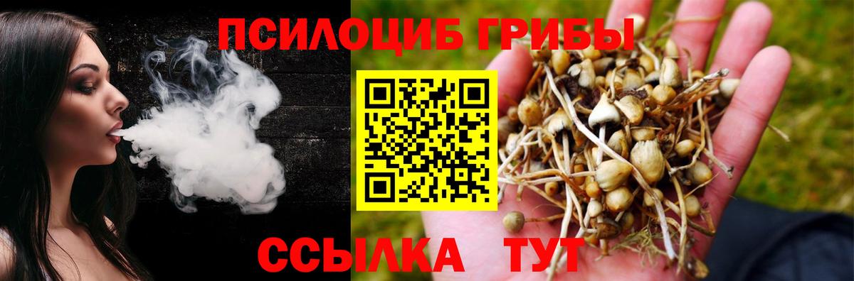 Псилоцибиновые грибы мухоморы Холмск
